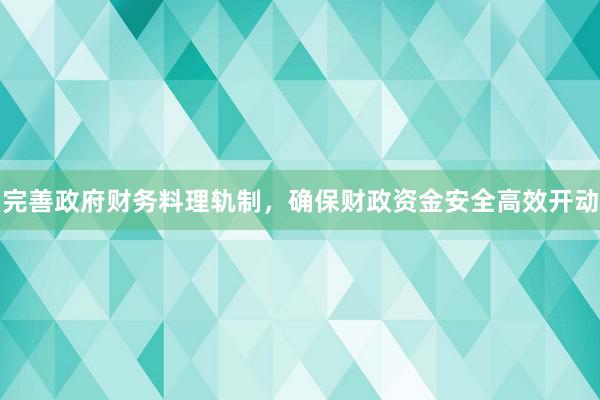 完善政府财务料理轨制，确保财政资金安全高效开动