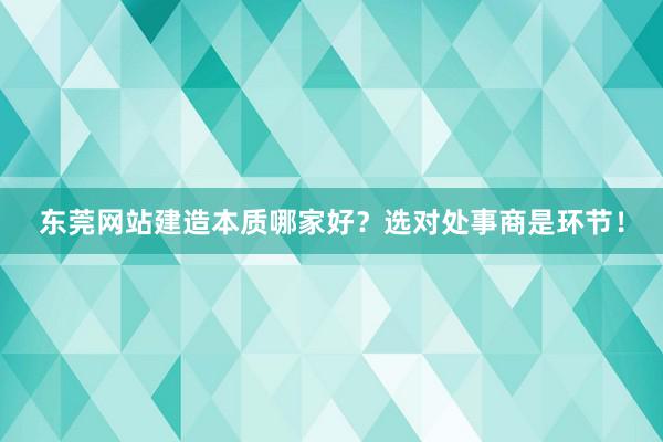 东莞网站建造本质哪家好？选对处事商是环节！